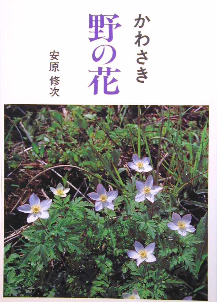 Tv摜