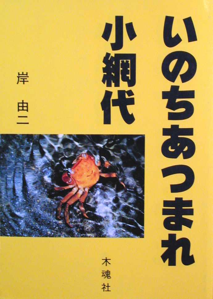 Tv摜