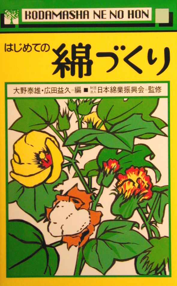 Tv摜