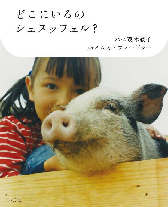 Tv摜